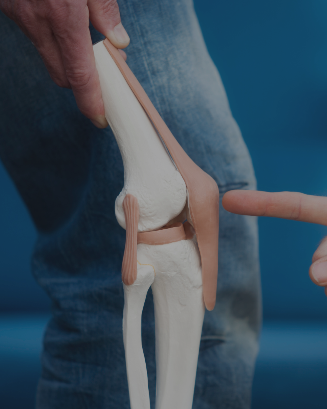 Orthopedics & Joint Replacement
