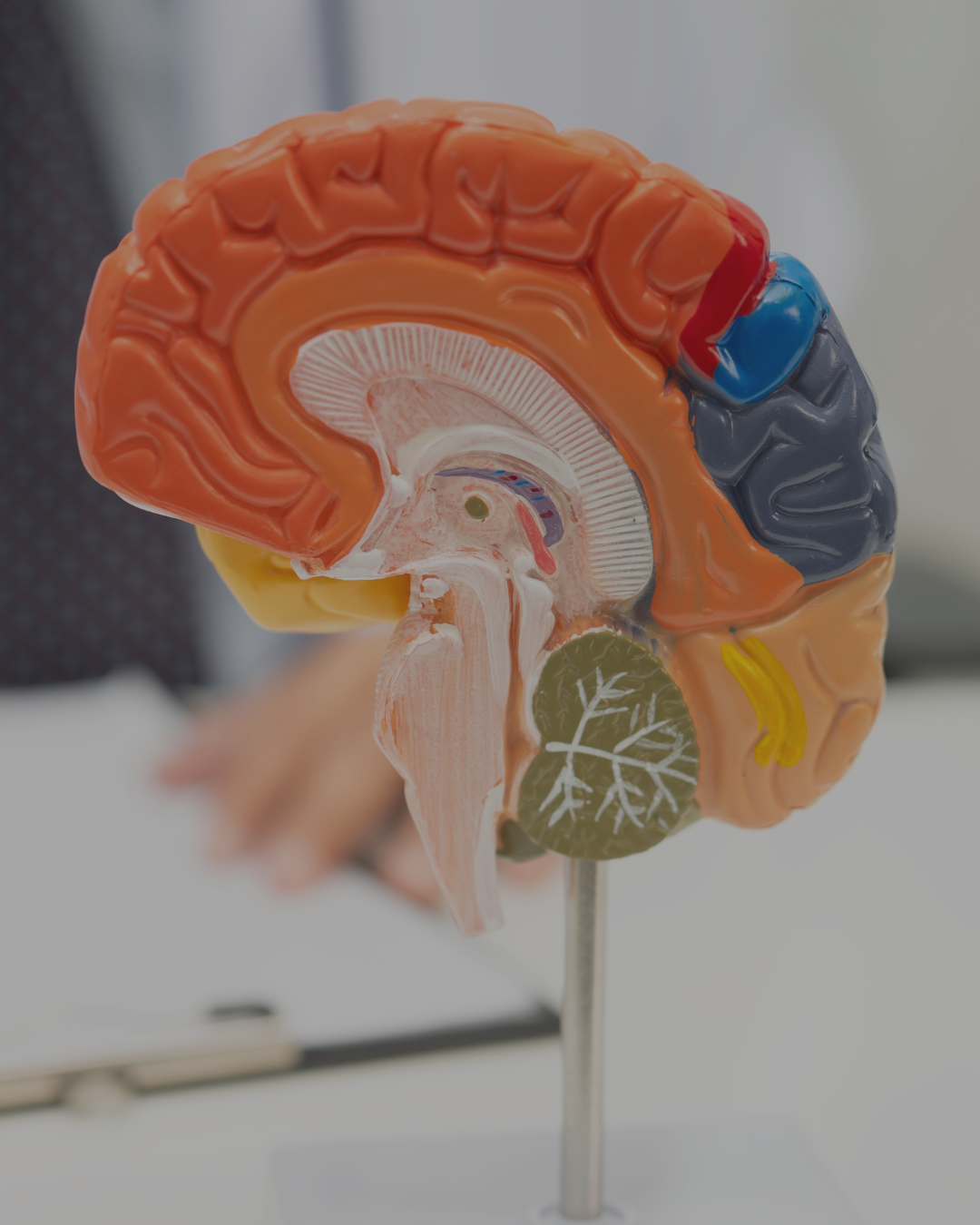 Neurosurgery